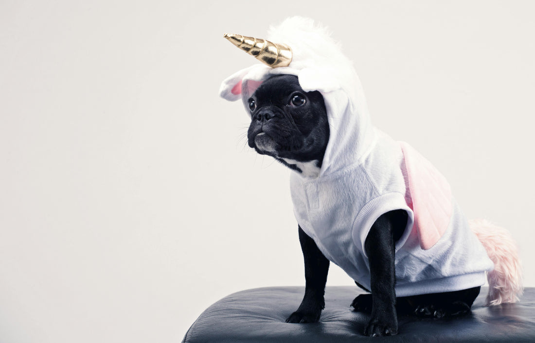 Tendencias para Mascotas 2025