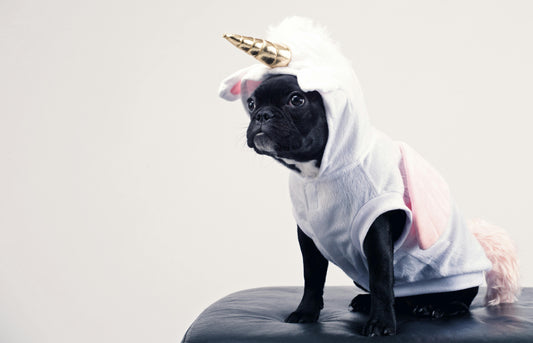 Tendencias para Mascotas 2025